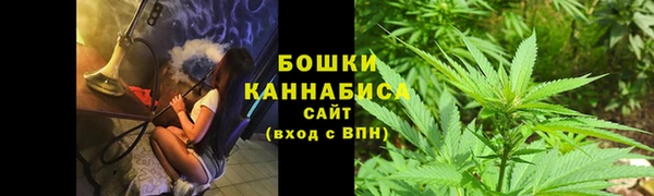 PSILOCYBIN Баксан