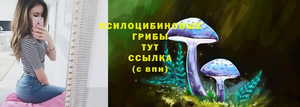 ECSTASY Балахна