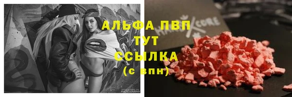 PSILOCYBIN Баксан