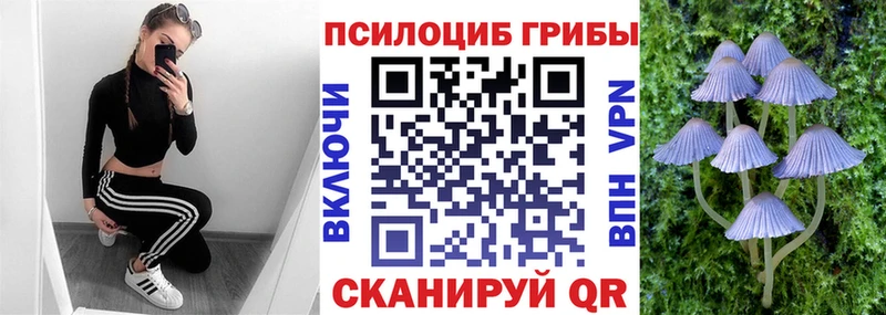 Галлюциногенные грибы Cubensis  цены наркотик  Власиха 